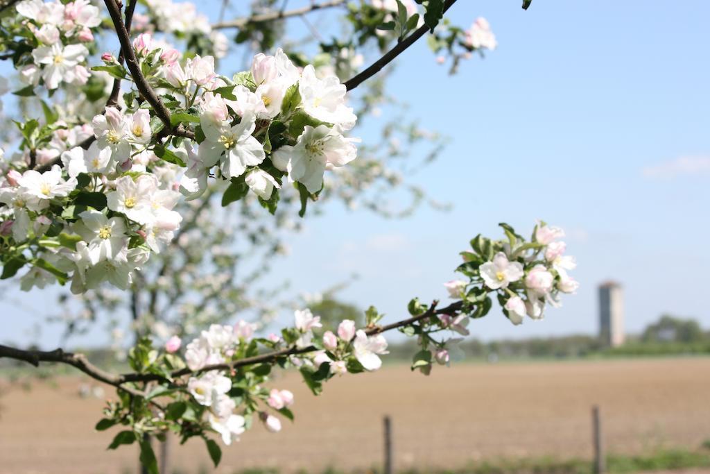 Bed and Breakfast De Nachtdijk Wijk bij Duurstede Exteriér fotografie