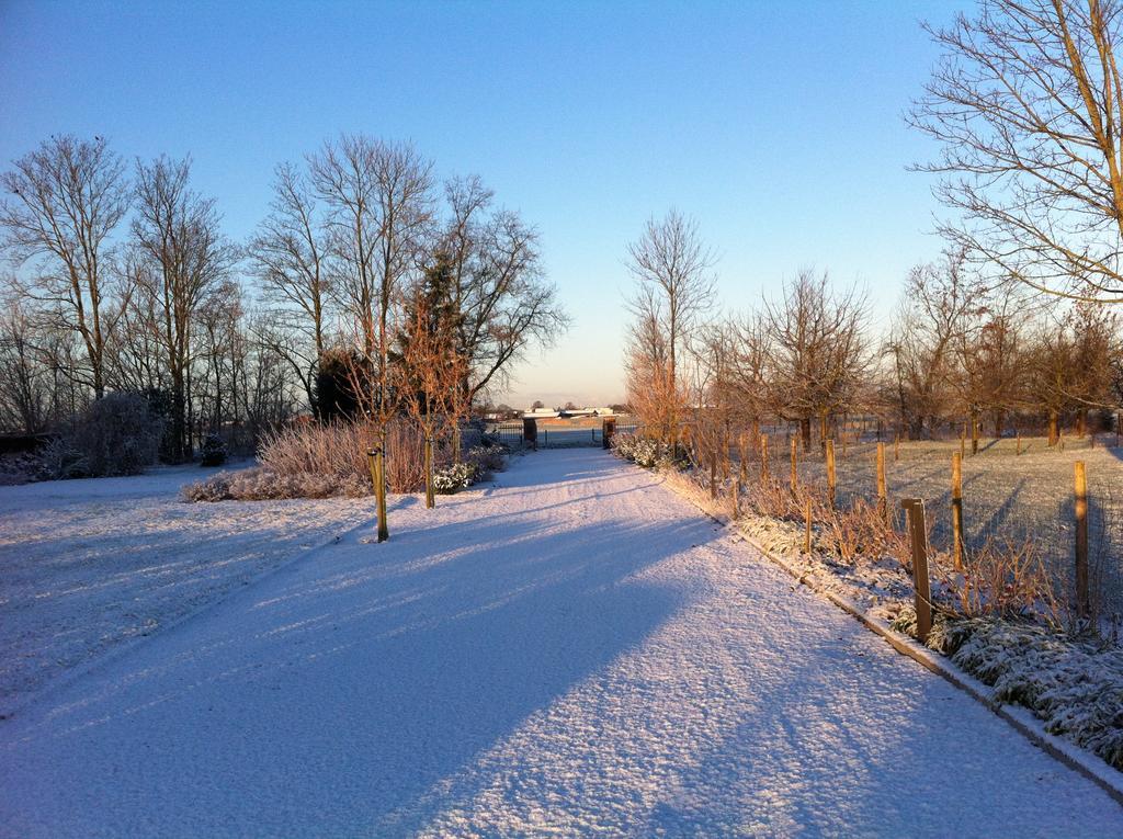 Bed and Breakfast De Nachtdijk Wijk bij Duurstede Exteriér fotografie
